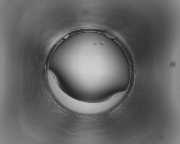 X0000113021269200909171445