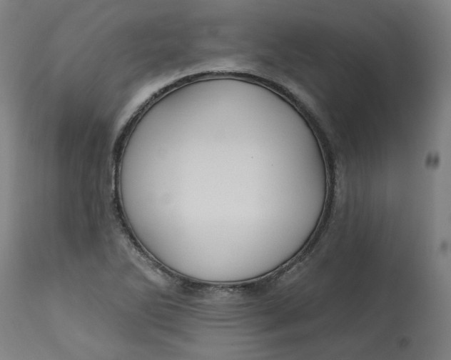 X0000113021270200909171445