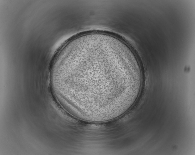 X0000113021271200909171445