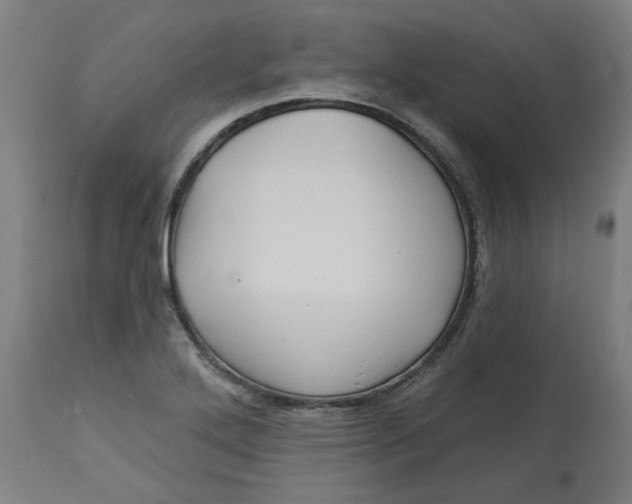 X0000113021272200909171445