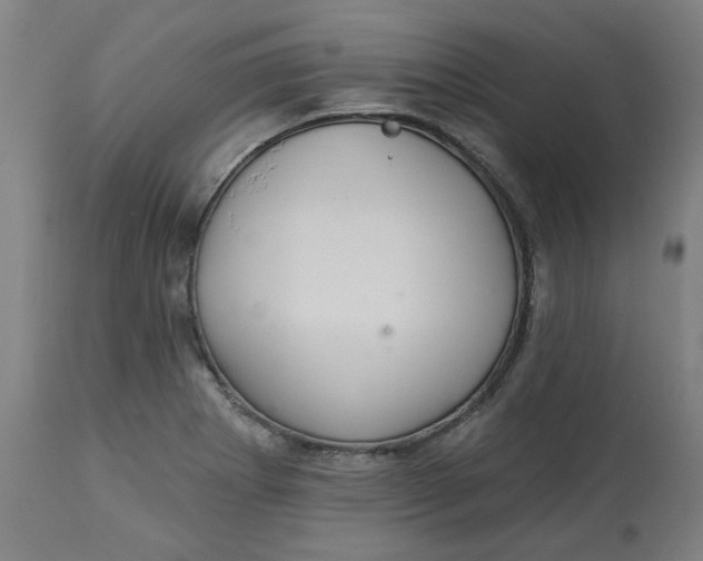 X0000113021273200909171445