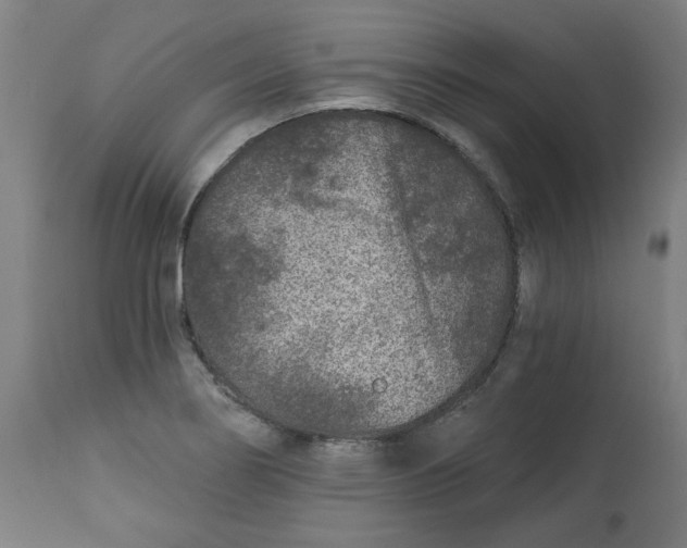 X0000113021274200909171445