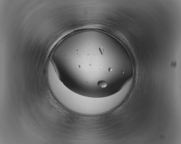 X0000113021276200909171445