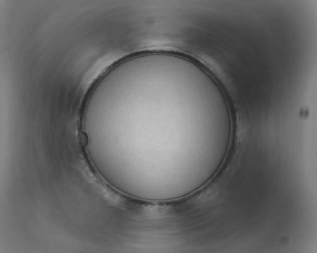 X0000113021277200909171445