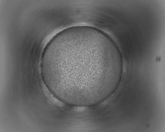 X0000113021278200909171445