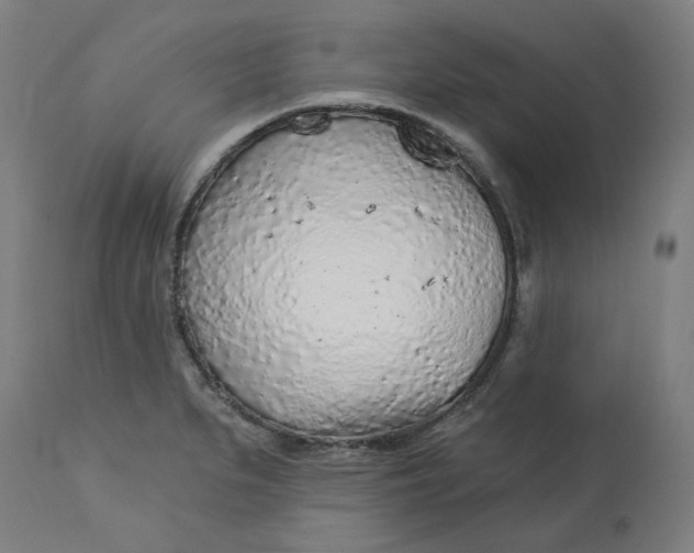 X0000113021279200909171445