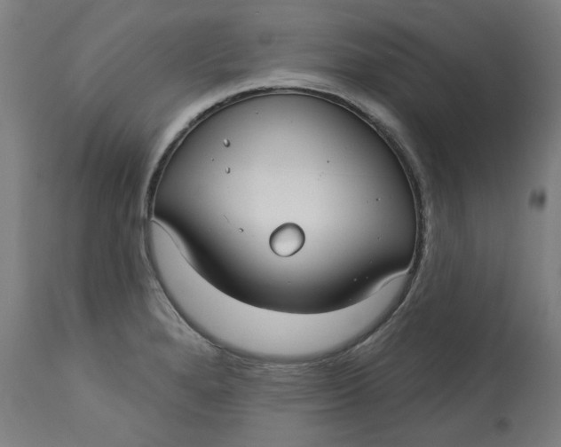 X0000113021280200909171445