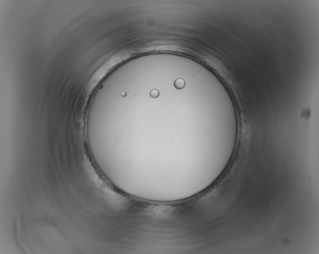 X0000113021282200909171445