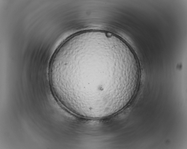 X0000113021283200909171445