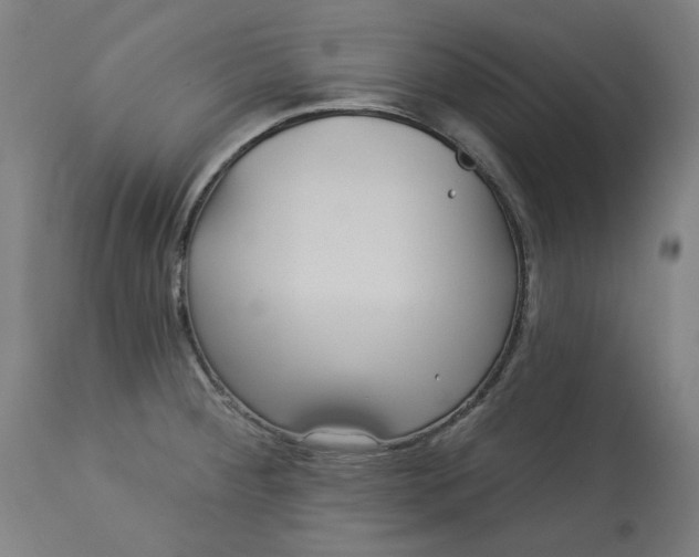 X0000113021284200909171445