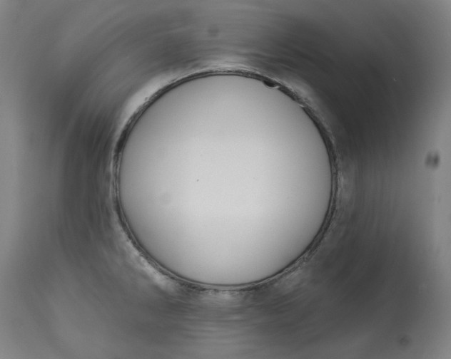 X0000113021286200909171445