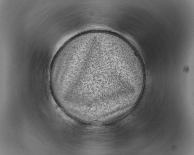 X0000113021287200909171445