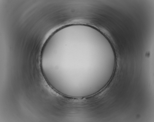 X0000113021288200909171445