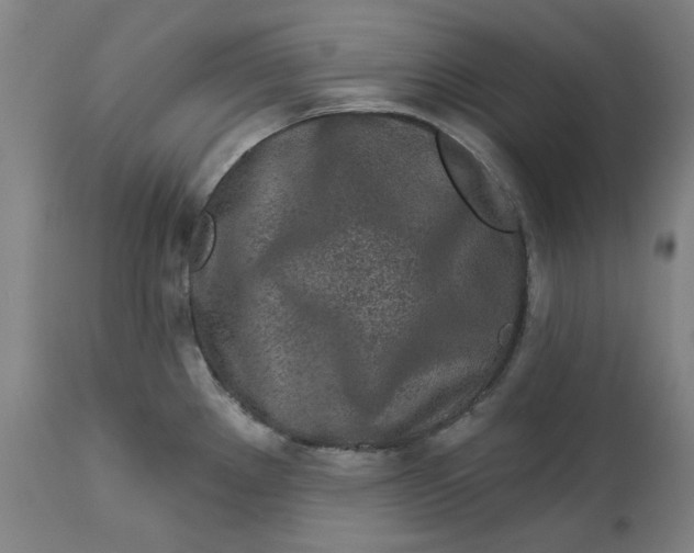 X0000113021289200909171445