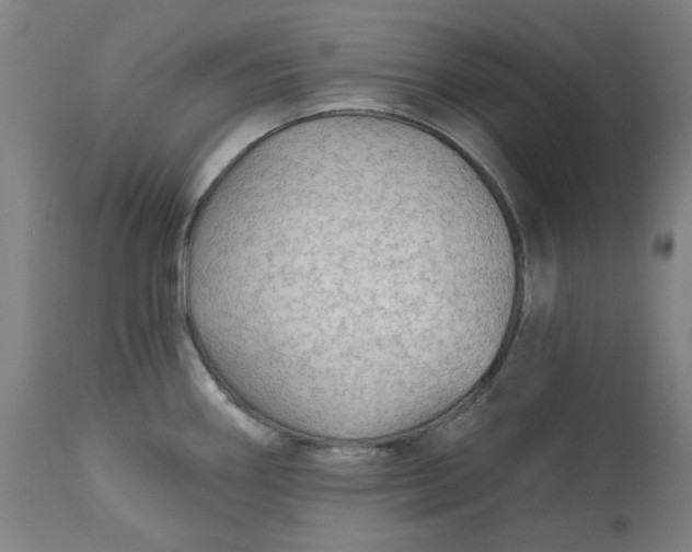 X0000113021290200909171445