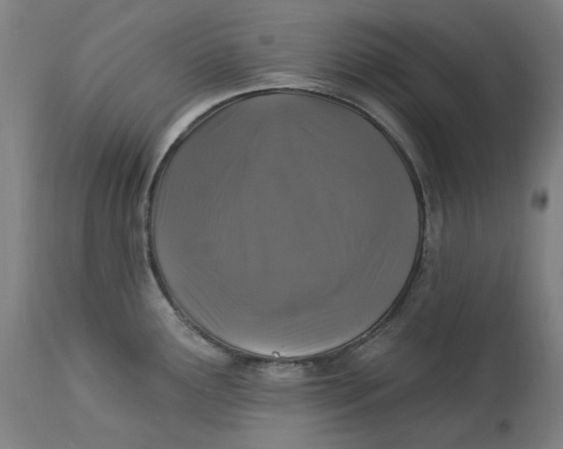 X0000113021291200909171445