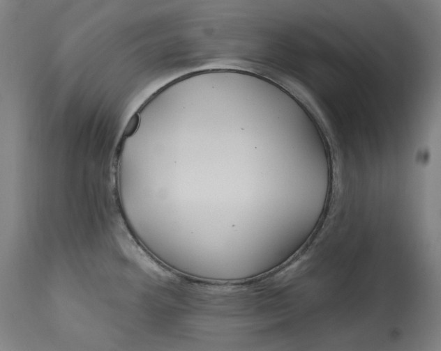 X0000113021292200909171445