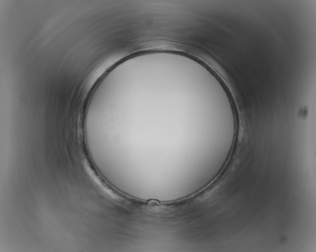 X0000113021293200909171445