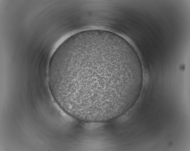 X0000113021294200909171445