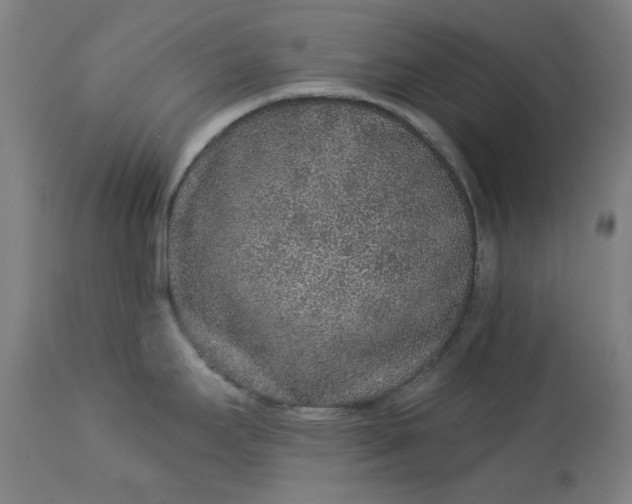 X0000113021295200909171444