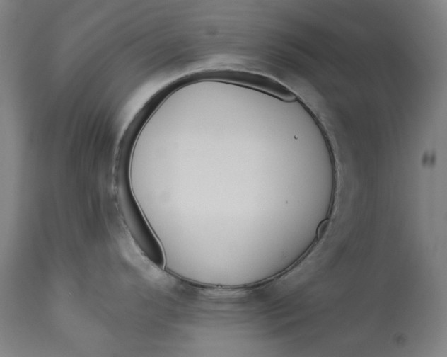 X0000113021296200909171444