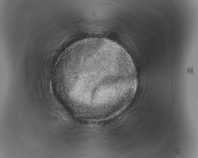 X0000113021297200909171444