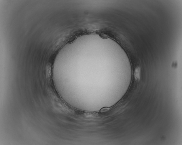 X0000113021299200909171444