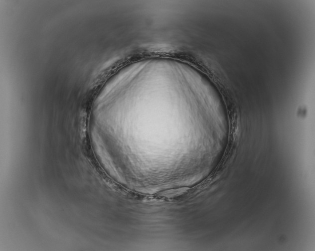 X0000113021301200909171444