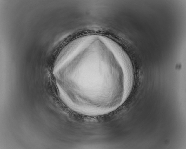 X0000113021302200909171444