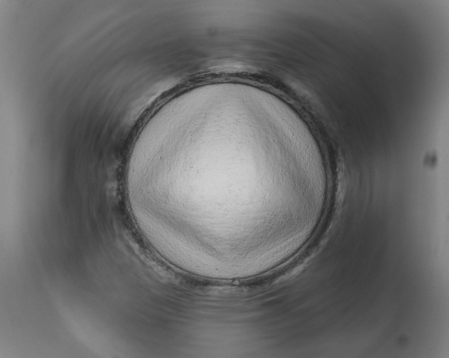 X0000113021305200909171444