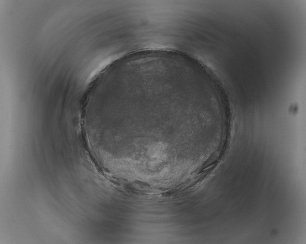 X0000113021306200909171444