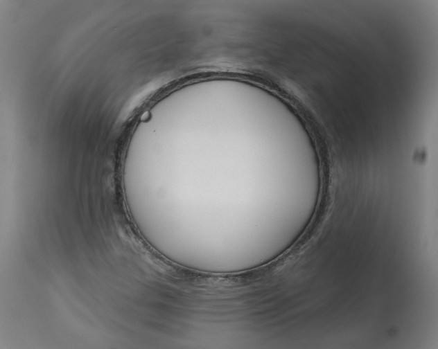 X0000113021307200909171444