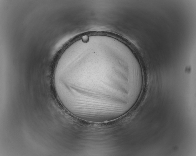 X0000113021311200909171444