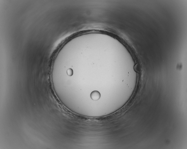 X0000113021312200909171444