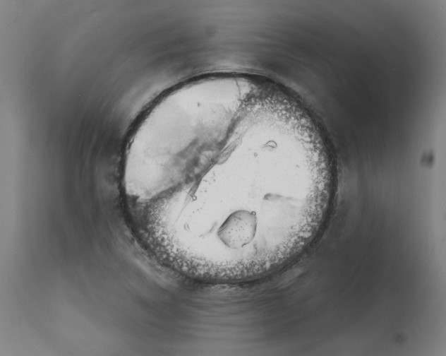 X0000113021314200909171444