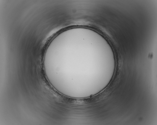 X0000113021315200909171444