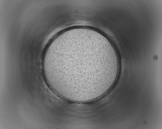 X0000113021318200909171444