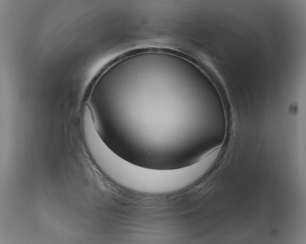 X0000113021320200909171444