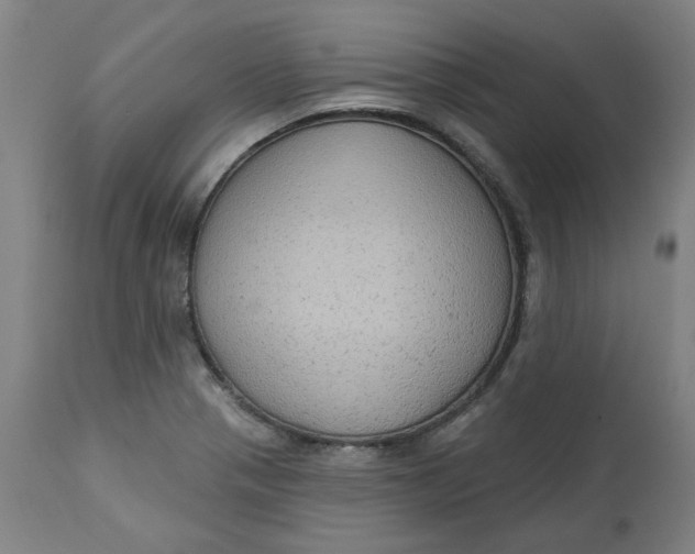 X0000113021321200909171444