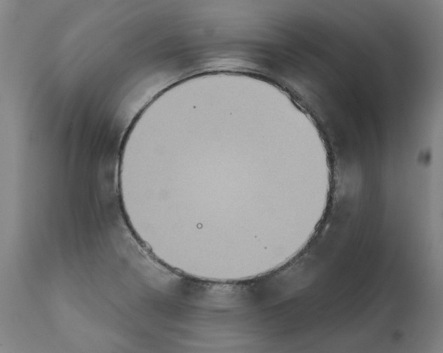 X0000113021322200909171444