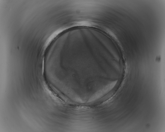 X0000113021323200909171444