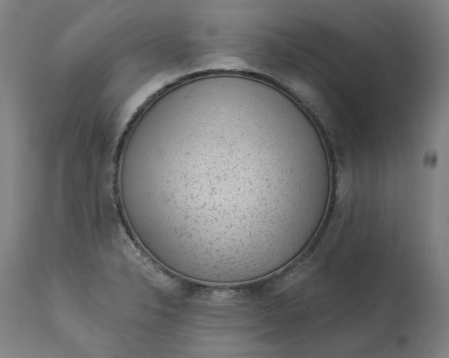 X0000113021326200909171444