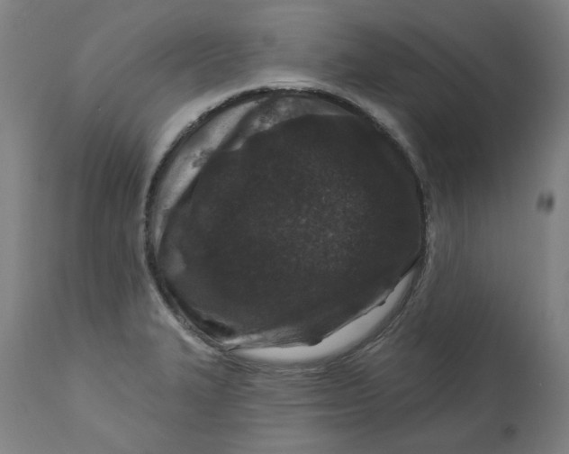 X0000113021327200909171444