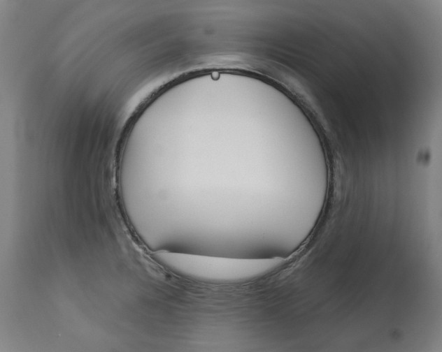 X0000113021328200909171444