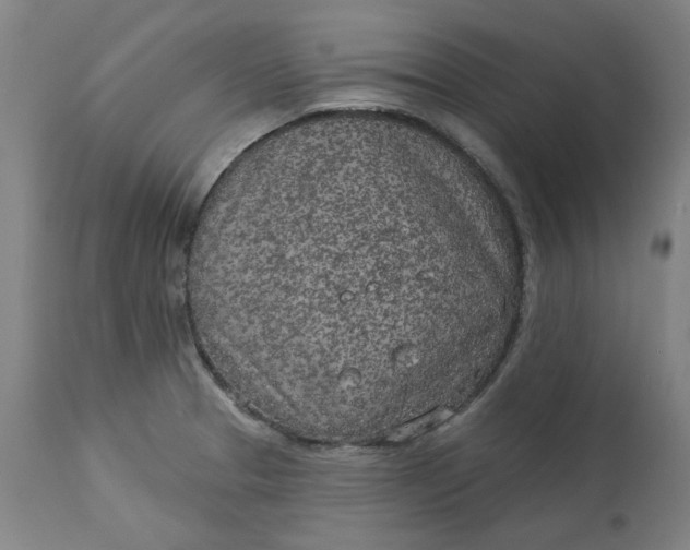 X0000113021329200909171444