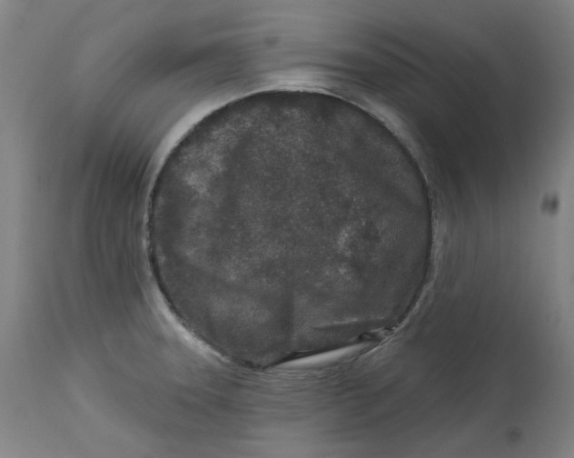 X0000113021331200909171444