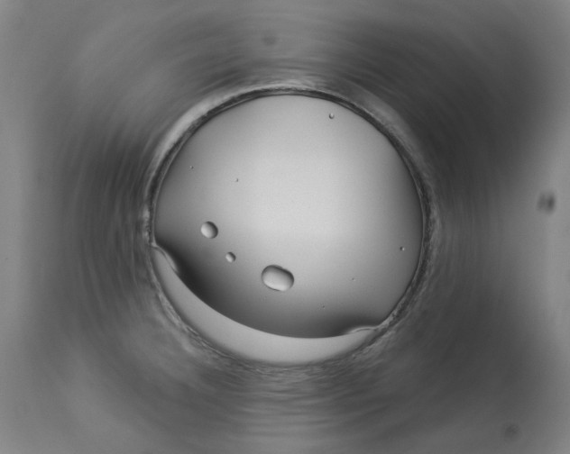 X0000113021332200909171444