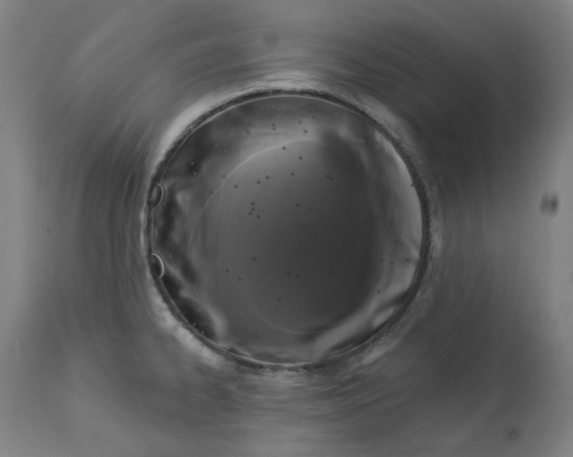 X0000113021334200909171444