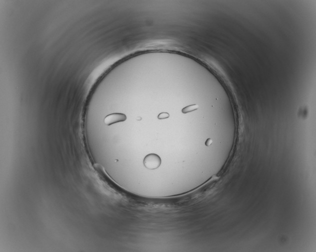 X0000113021336200909171444