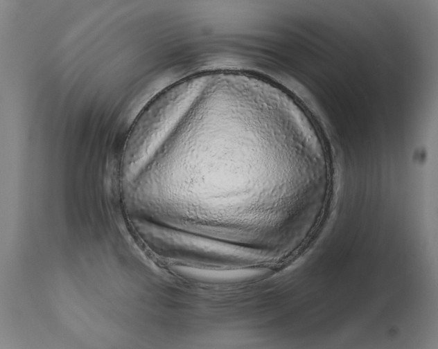 X0000113021337200909171444